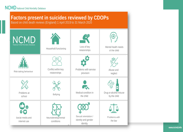 Factors present in suicides reviewed by CDOPs