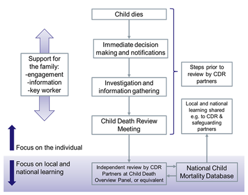 Child Death Review