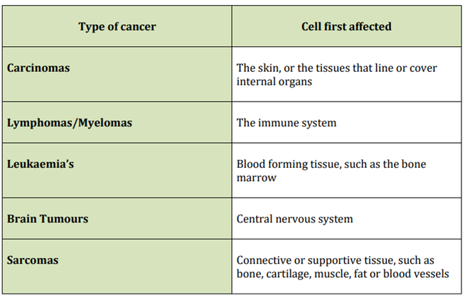 The 5 main types of cancer