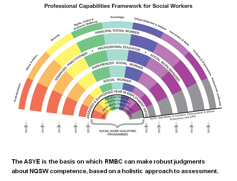 professional capabilities flowchart
