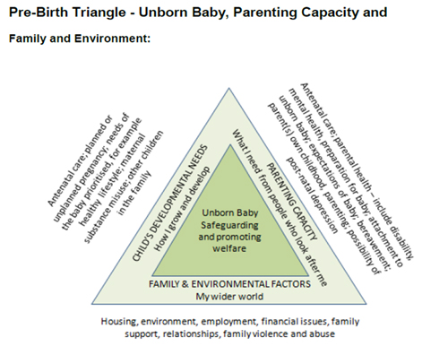 pre_birth_triangle