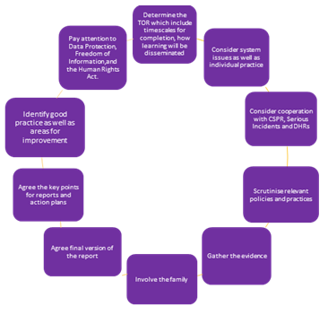 SAR Review Group
