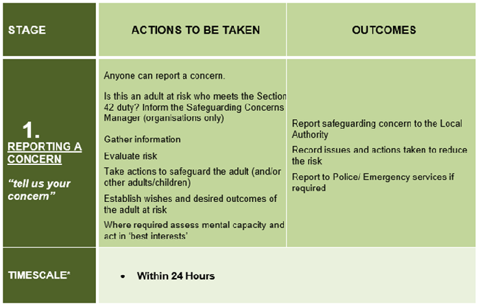 Stage 1 Reporting a concern